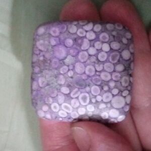 Purple Fossil Coral Pendant #1